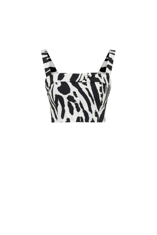 Zebra Crop